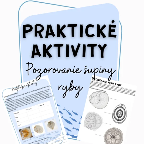 Praktické aktivity - Pozorovanie šupiny ryby