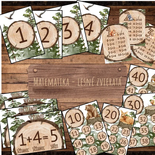 Matematika- lesné zvieratá 