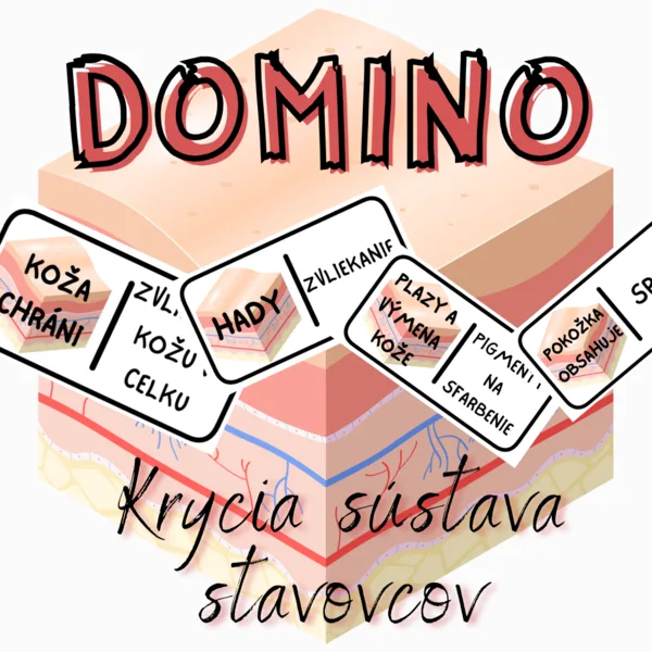 Domino - Krycia sústava stavovcov
