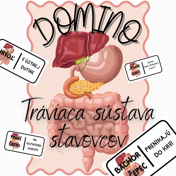 Domino - Tráviaca sústava stavovcov
