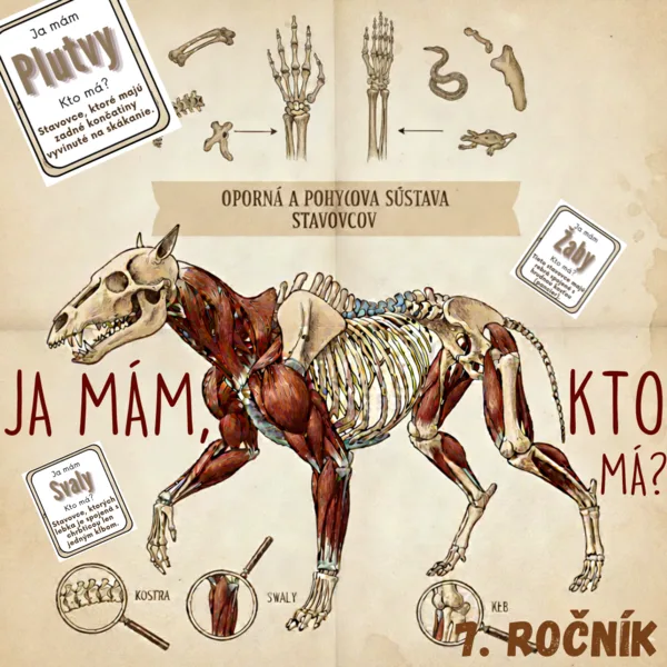 Ja mám, kto má? - Oporná a pohybová sústava stavovcov