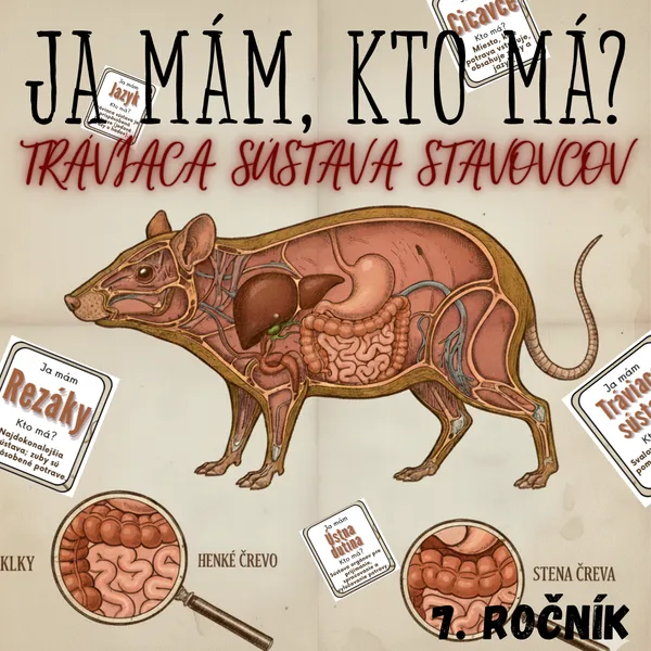 Ja mám, kto má? - Tráviaca sústava stavovcov