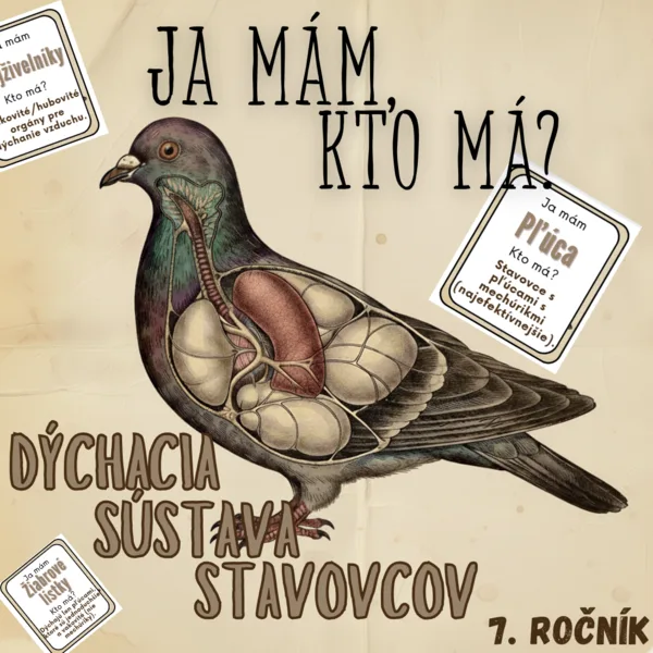 Ja mám, kto má? - Dýchacia sústava stavovcov