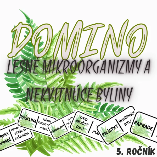 Domino - Lesné mikroorganizmy a nekvitnúce byliny
