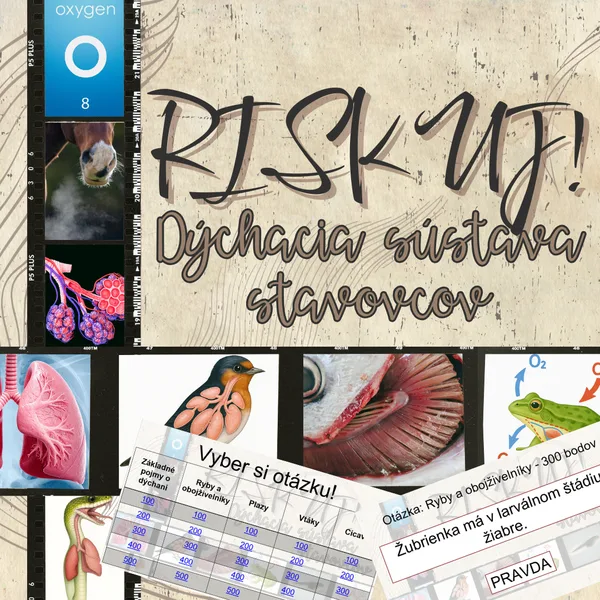RISKUJ! - Dýchacia sústava stavovcov