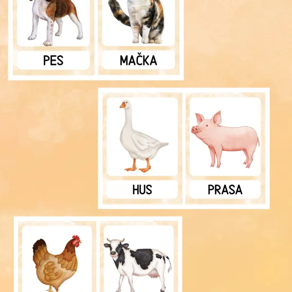 Spoznávanie domácich zvierat 