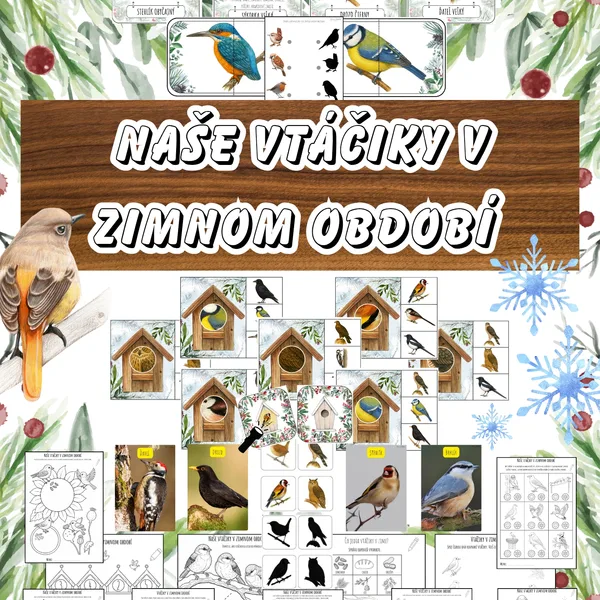 Naše vtáčiky v zimnom období 