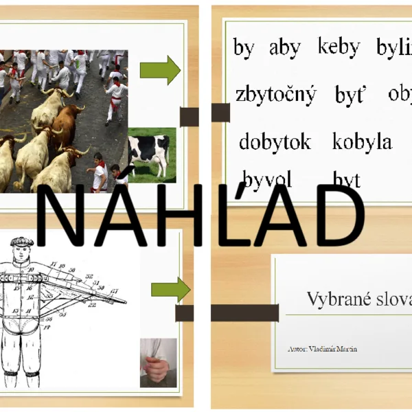 Vybrané slová po B