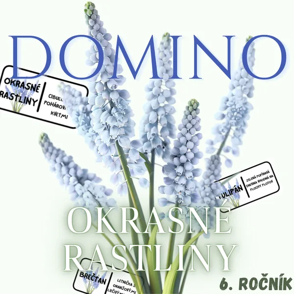 Domino - Okrasné rastliny