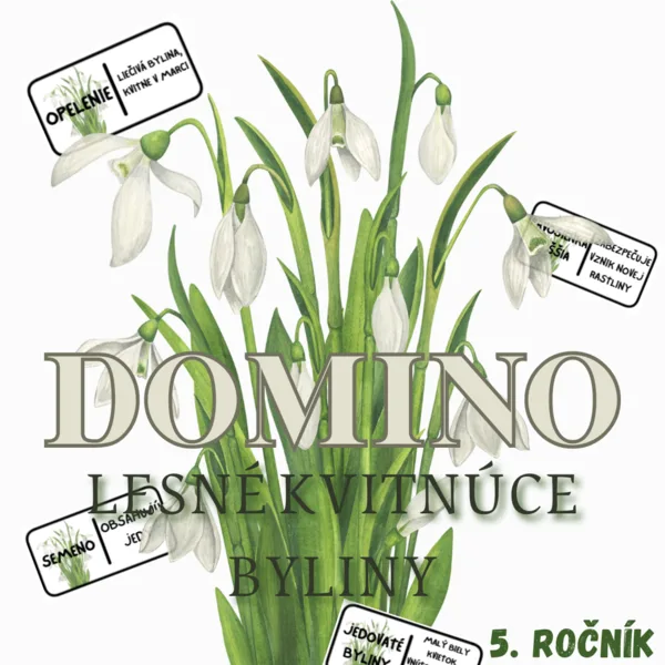 Domino - Lesné kvitnúce byliny