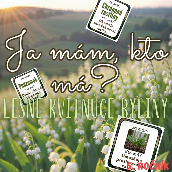 Ja mám, kto má? - Lesné kvitnúce byliny