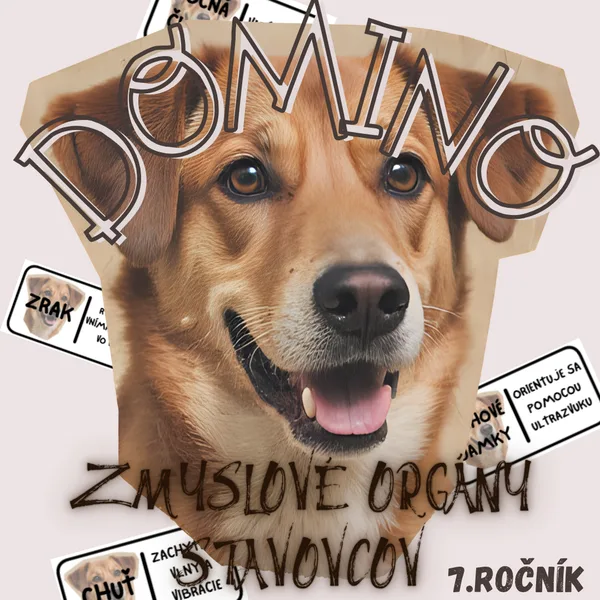 Domino - Zmyslové orgány stavovcov