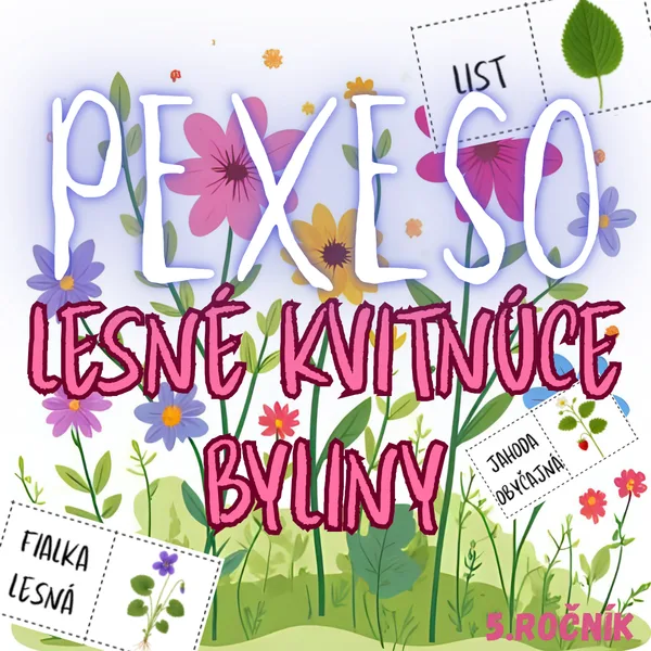 PEXESO - Poznávanie lesných kvitnúcich bylín