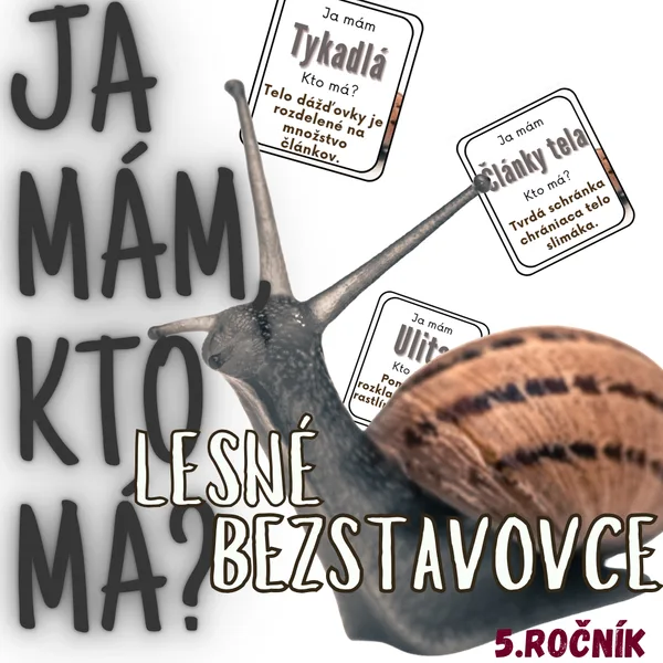 Ja mám, kto má? - Lesné bezstavovce