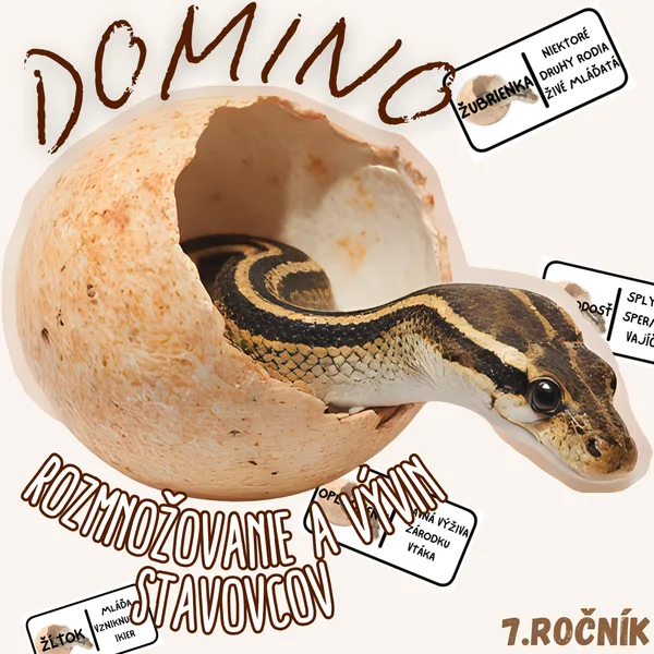 Domino - Rozmnožovanie a vývin stavovcov