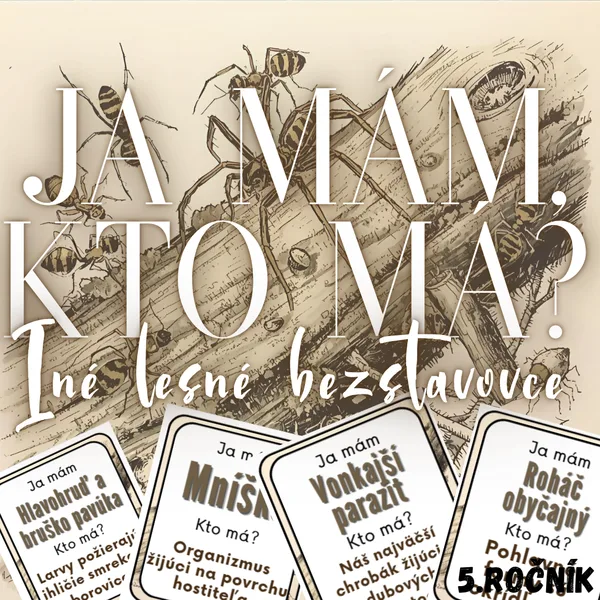 Ja mám, kto má? - Iné lesné bezstavovce