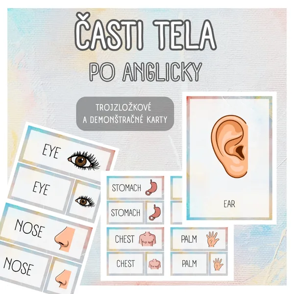 ČASTI TELA po anglicky