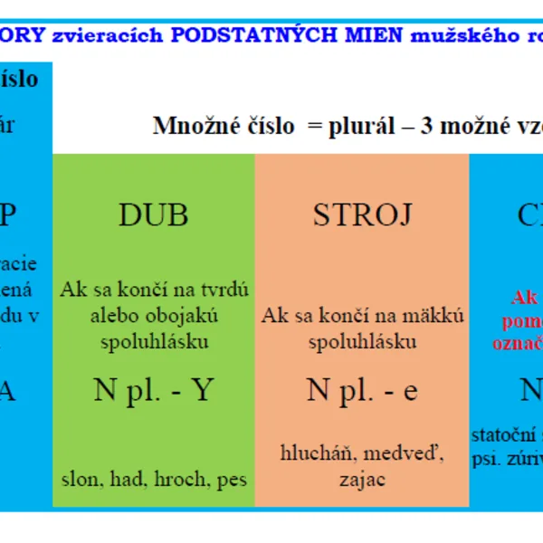Kompenzačné pomôcky o podstatných menách pre žiakov s podpornými opatreniami