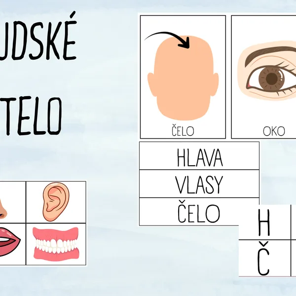 ĽUDSKÉ TELO