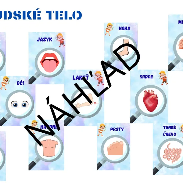 Ľudské telo