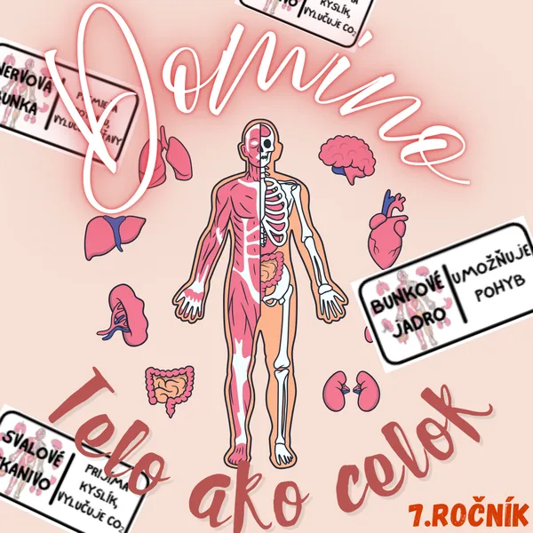 Domino - Telo ako celok