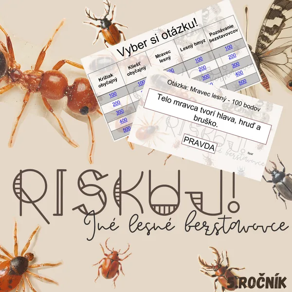 RISKUJ! - Iné lesné bezstavovce