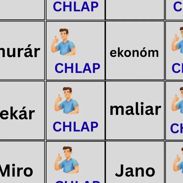 Vzory podstatných mien mužského rodu 