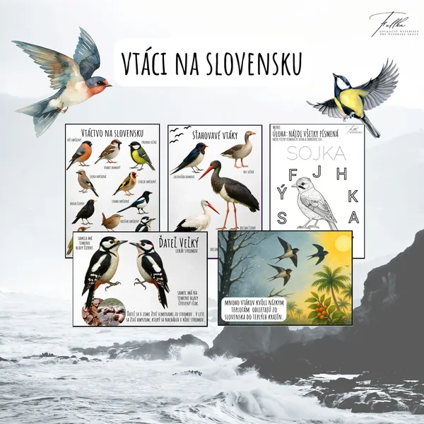 Vtáci v zime, Vtáky na Slovensku, Dravé vtáky na Slovensku, Dravci, Zvieratká v zime