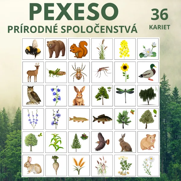 PEXESO - PRIRODNE SPOLOCENSTVA
