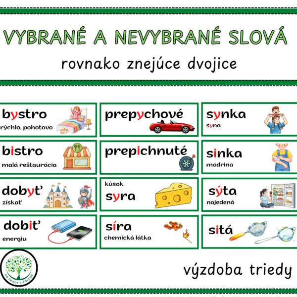 VYBRANÉ A NEVYBRANÉ SLOVÁ- rovnako znejúce dvojice 
