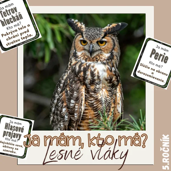 Ja mám, kto má? - Lesné vtáky