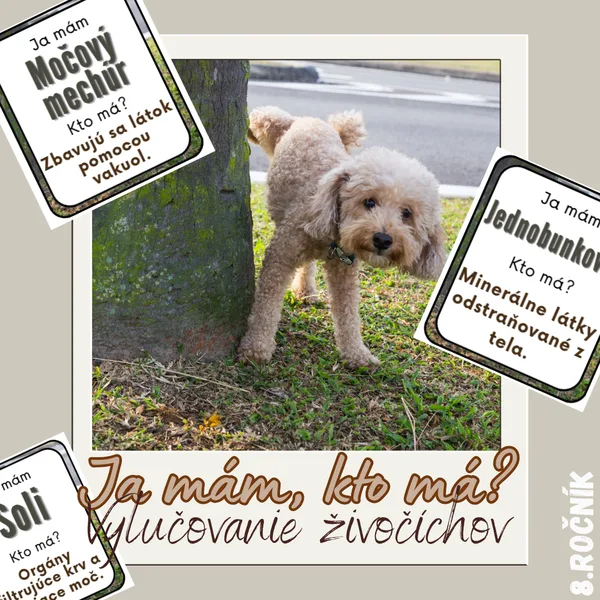 Ja mám, kto má? - Vylučovanie živočíchov