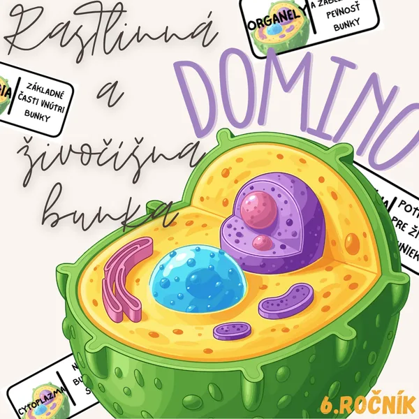 Domino - Rastlinná a živočíšna bunka
