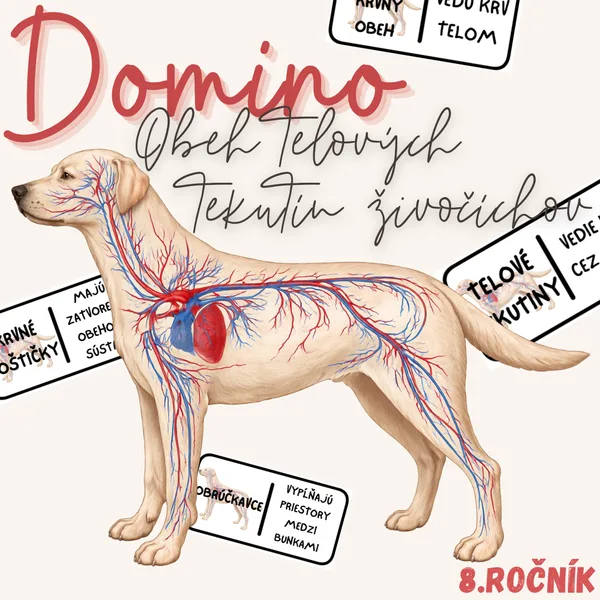 Domino - Obeh telových tekutín živočíchov