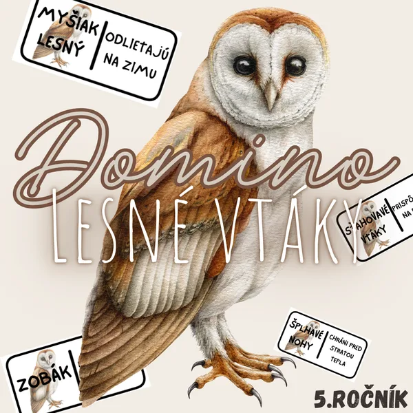 Domino - Lesné vtáky