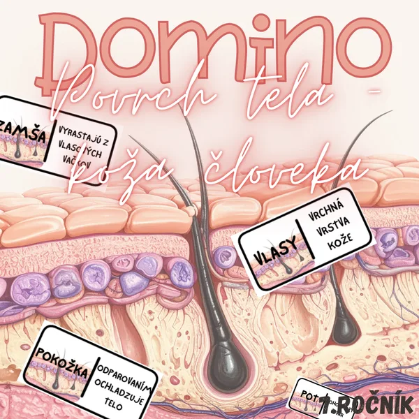 Domino - Povrch tela – koža človeka
