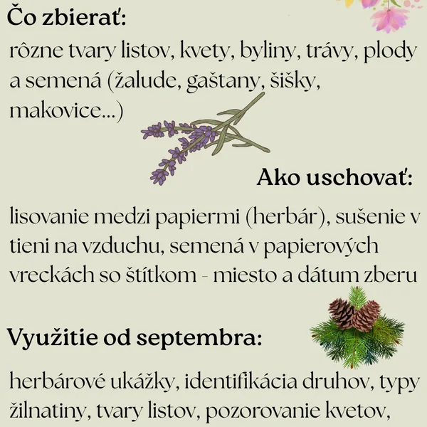 Z leta do zošita - letné nálezy pre jesenné hodiny