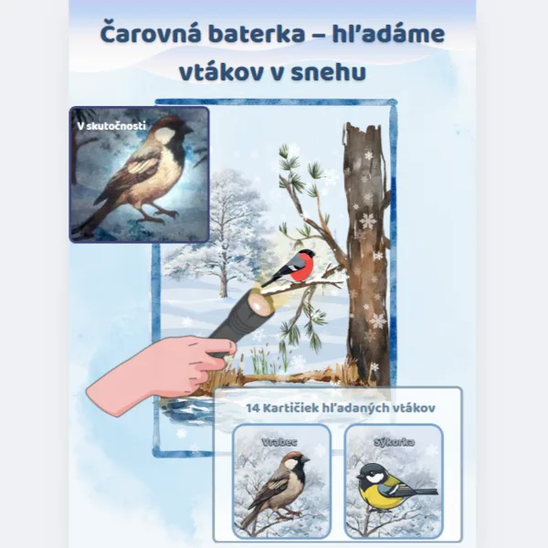 Vtáky v zime - Hra s baterkou