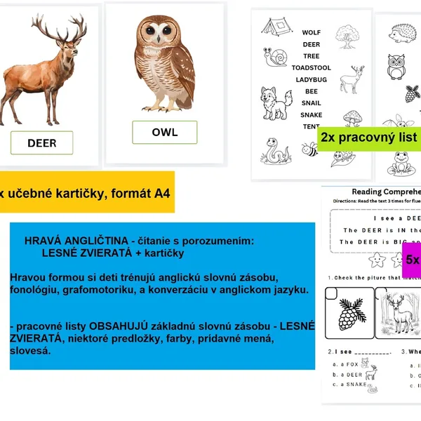 ANGLIČTINA - Reading comprehension FOREST ANIMALS
