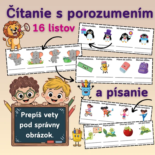Čítanie s porozumením, písanie, prepis viet