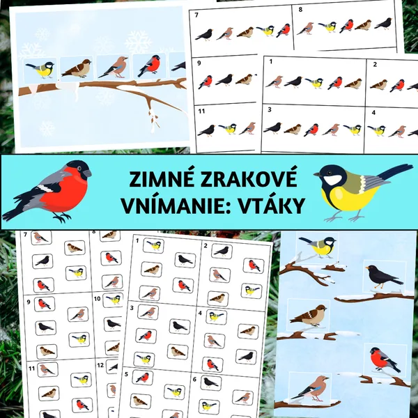 Zimné zrakové vnímanie: Vtáky