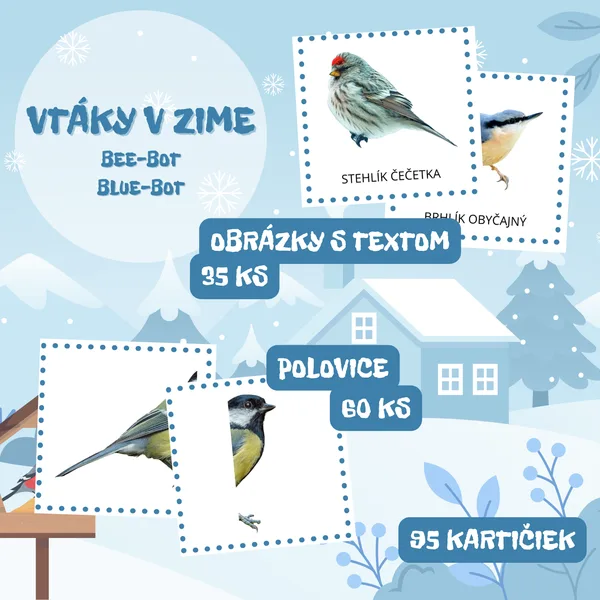 VTÁKY V ZIME - Bee-Bot / Blue-Bot