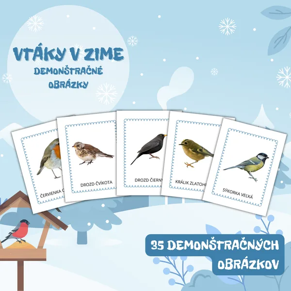 VTÁKY V ZIME - brožúra - demonštračné obrázky