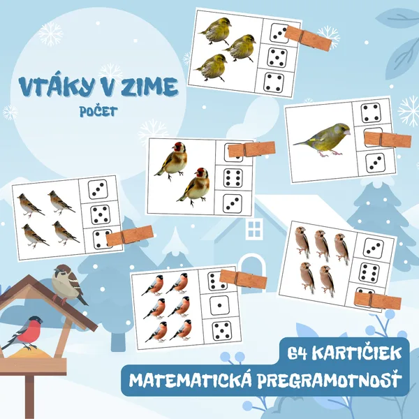 VTÁKY V ZIME - brožúra - počet