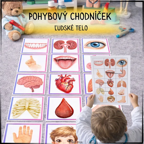 Pohybový chodníček - ľudské telo