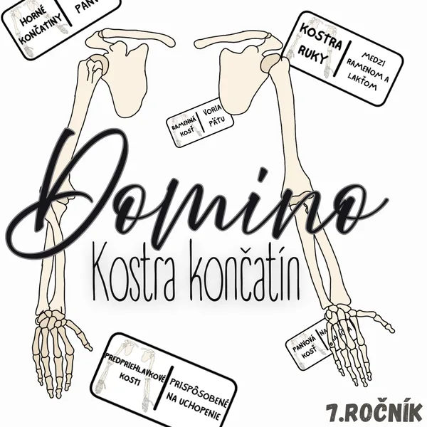 Domino - Kostra končatín
