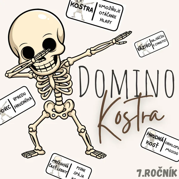 Domino - Kostra