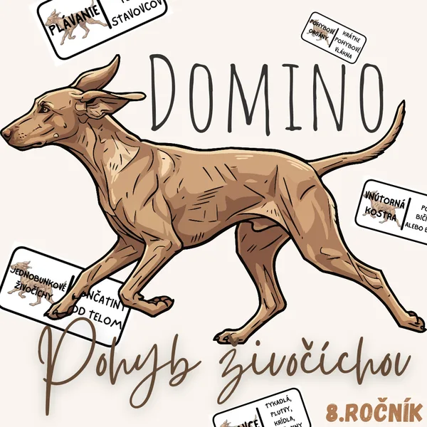 Domino - Pohyb živočíchov