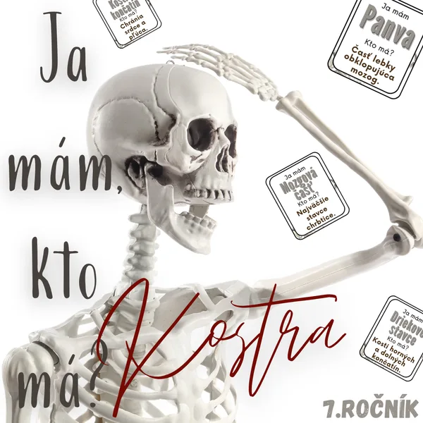 Ja mám, kto má? - Kostra