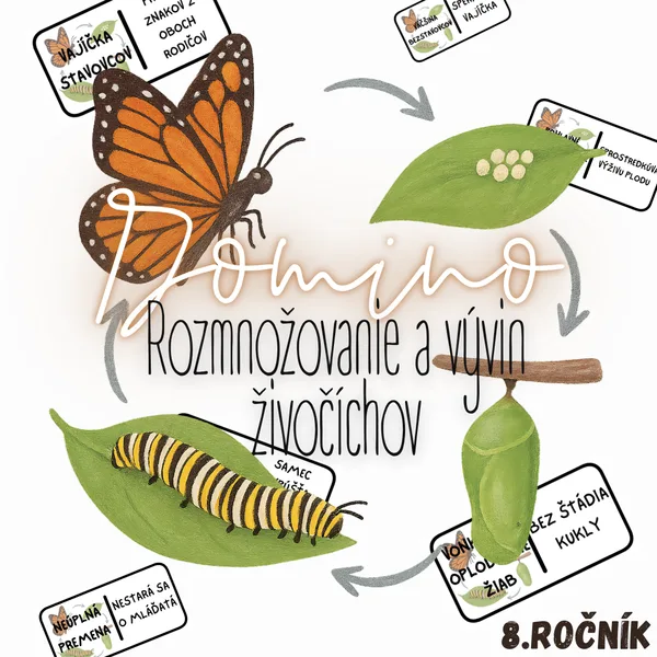 Domino - Rozmnožovanie a vývin živočíchov